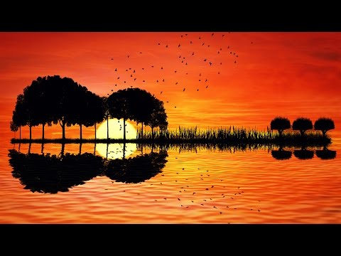 Relaxing Guitar Music – Acoustic – Calming Music for Stress Relief, Studying